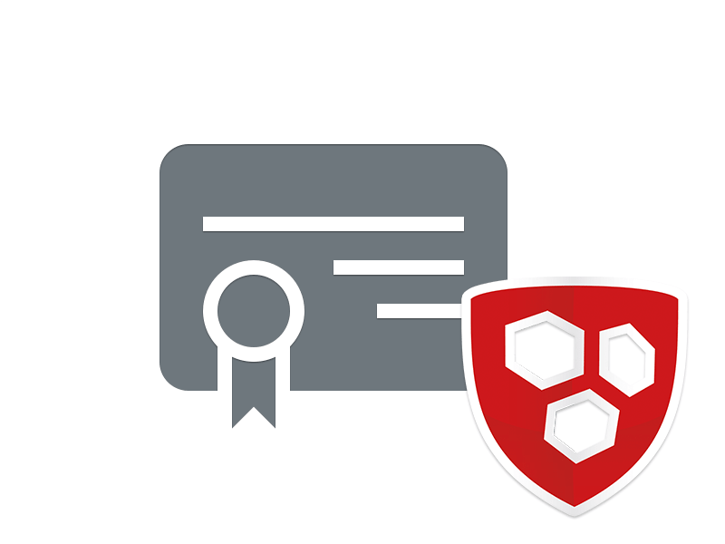 Multidomain Zertifikat - Service Paket (Domainvalidiert)