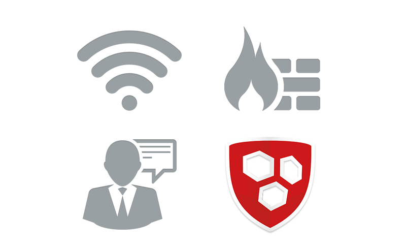 Sophos Firewall SW/Virtual: Basis Lizenz