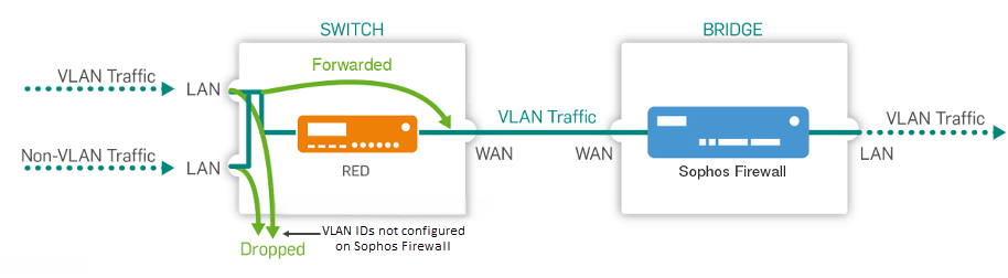 Network diagram: Tagged (trunk port).